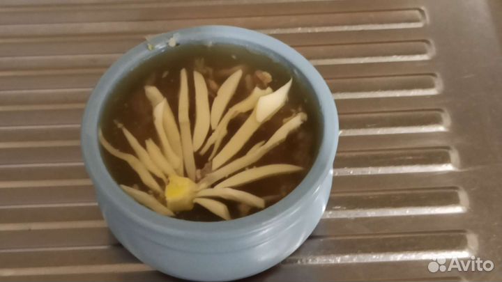 Сервиз кофейный на 6 персон Япония