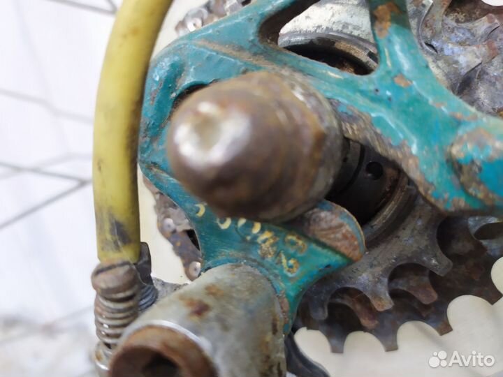 Хвз чемпион