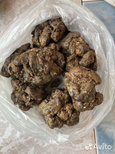 Прополис пчелиный