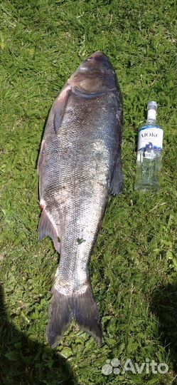 Рыбалка и отдых (с проживанием)