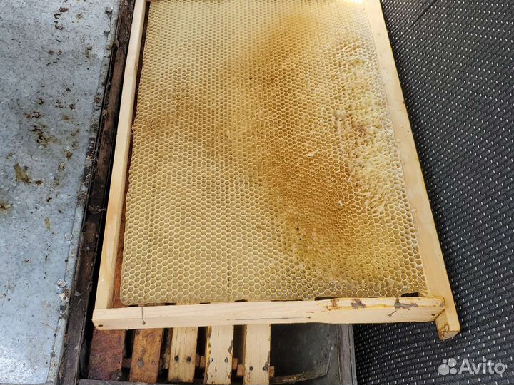 Сушь для пчел