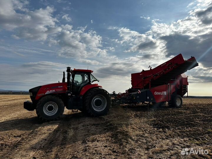 Картофель оптом от производителя