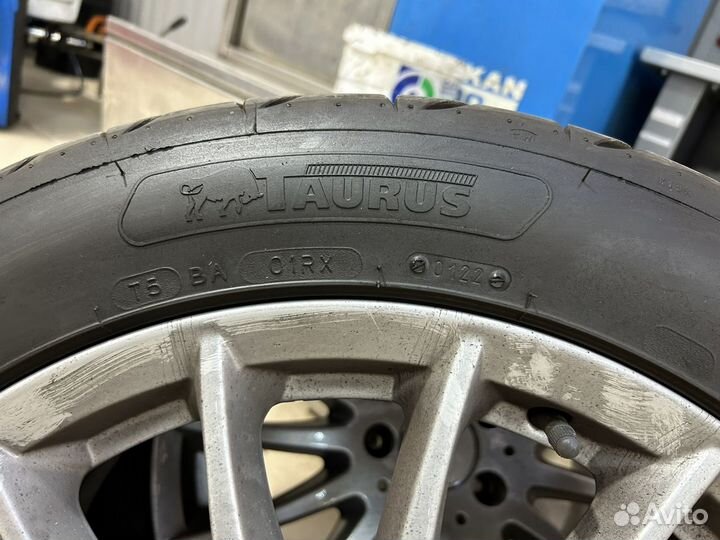 Taurus High Performance 255/45 R18 103Y