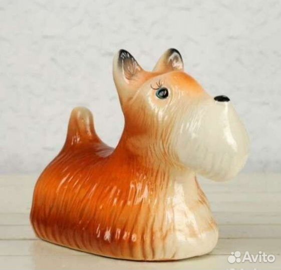 Копилка новая