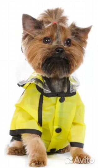 Дождевик с капюшоном для собак s желтый (унисекс)