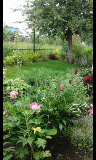 Дача 37,7 м² на участке 4 сот.