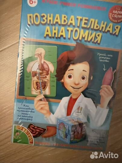 Опыты bondibon познавательная анатомия