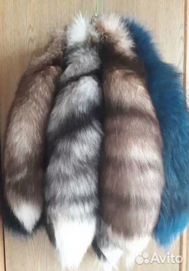 Хвост песцовый, длинный голубой