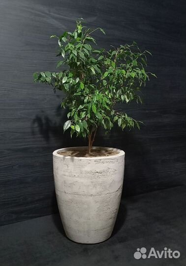 Вазоны, Горшки, Кашпо под заказ из бетона