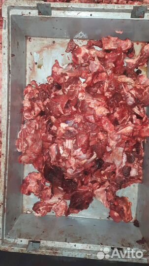 Мясо для собак и многое другое