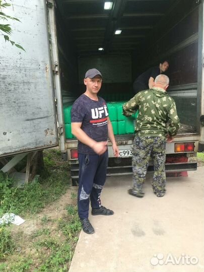 Газель, грузчики