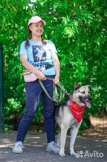 Собака добрая и милая Валя