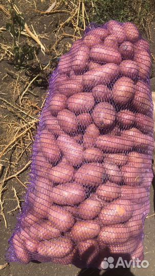 Картофель фермерский