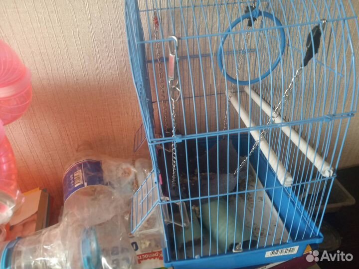 Клетка для грызунов бу