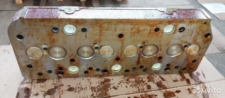 Головка блока цилиндров 245-1003012-Б2