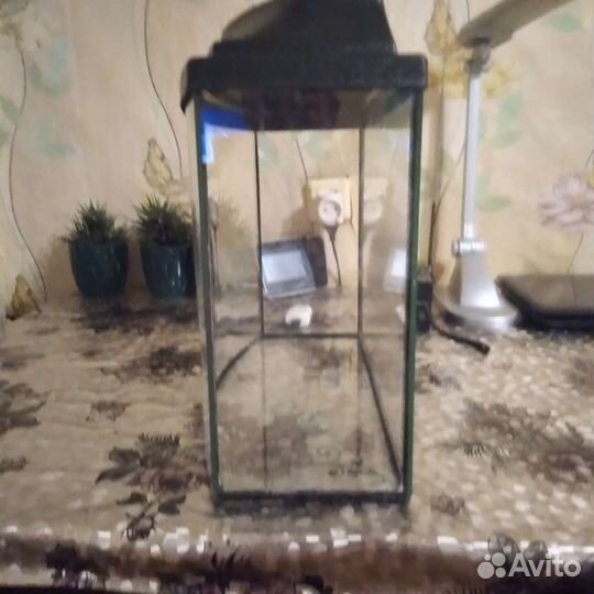 Аквариум с крышкой