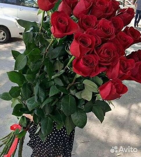 Розы высокие Доставка цветов
