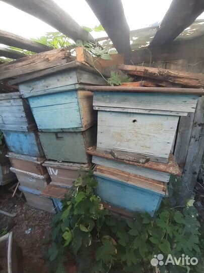 Ульи для пчел бу,магазины