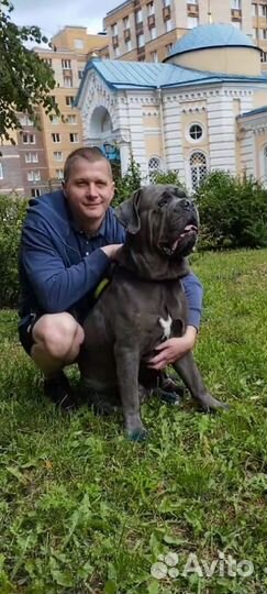 Трезвый водитель 24/7