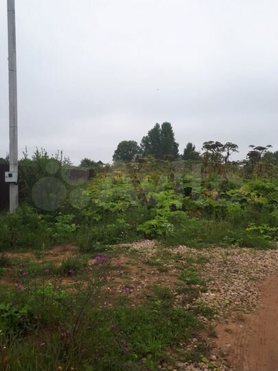 Участок 12,6 сот. (ИЖС)