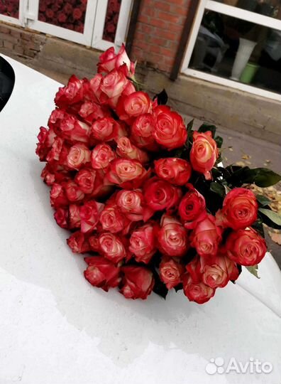 Розы, букет цветов 51 шт