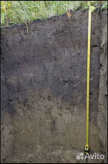 Чернозем с доставкой