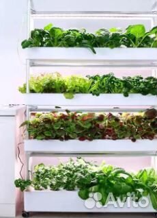 Фитолампа для микрозелени на стеллажи