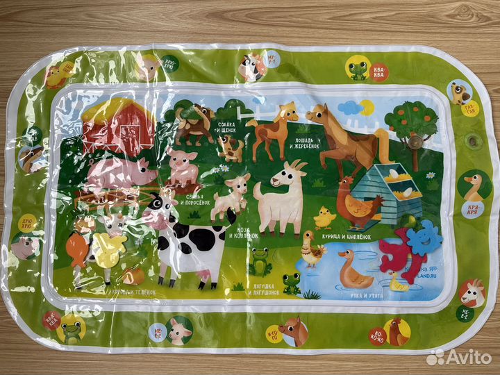 Отдам бесплатно