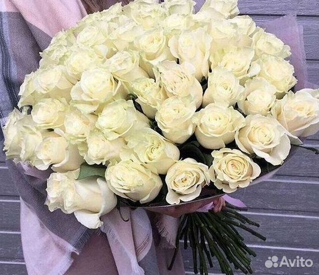 Высокие розы Гигантские розы с доставкой