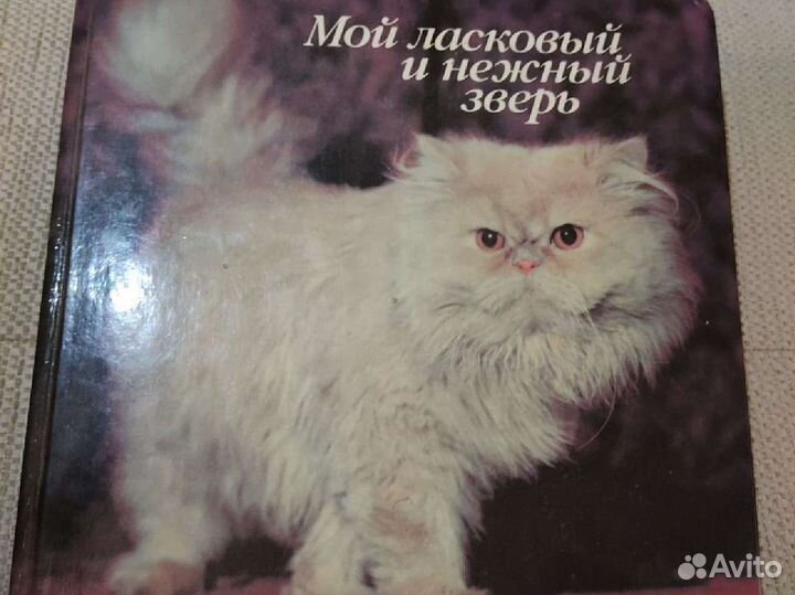 Книга про кошек 