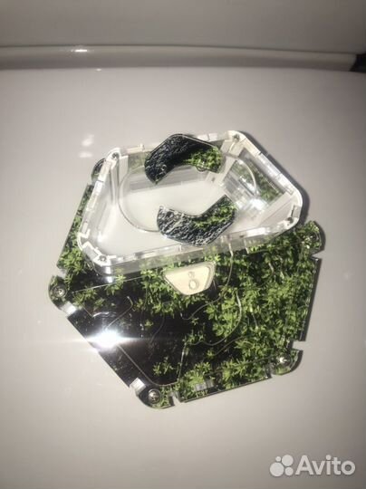 Муравьиная ферма