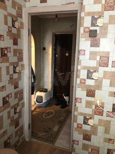 1-к. квартира, 20,4 м², 4/5 эт.