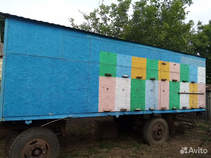 Павильон для пчел