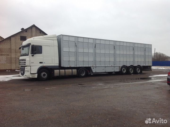 Перевозка скота крс Коров,Бык,Телят,Лошадь,Бараны