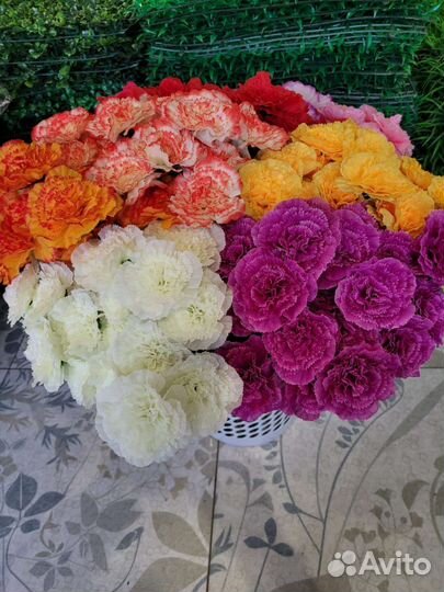 Гвоздика 50 см искусственные цветы