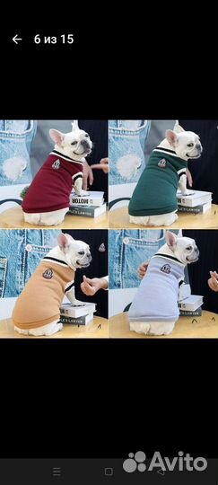 Товары для животных