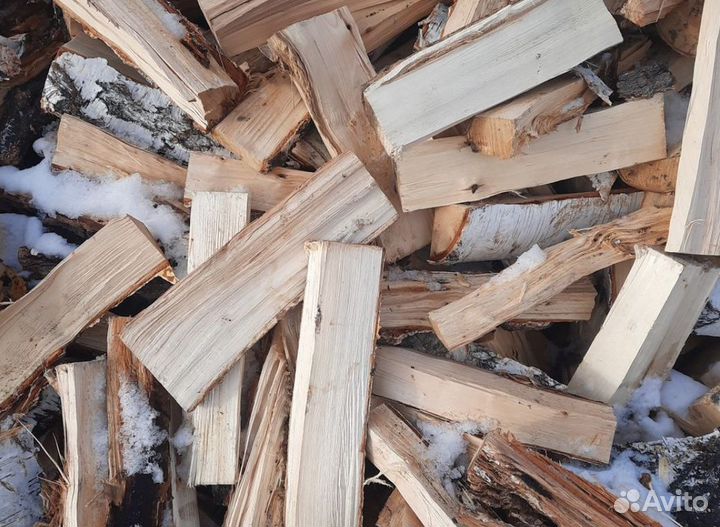 Дрова береза