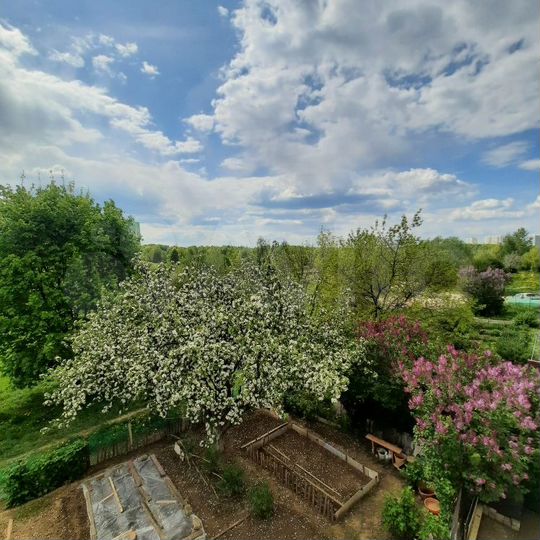 1-к. квартира, 37,5 м², 2/9 эт.