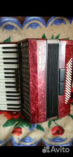 Аккордеон Заря2