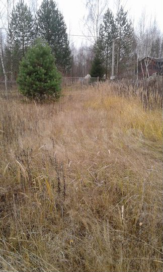 Участок 15 сот. (СНТ, ДНП)