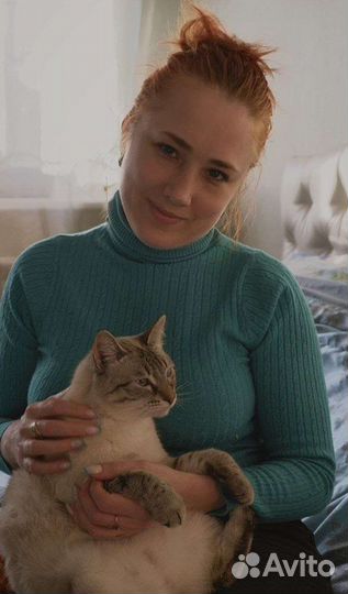 Передержка,выгул