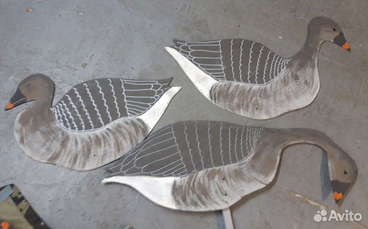 Профиля гусей