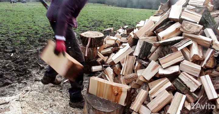 Дрова от Буратино