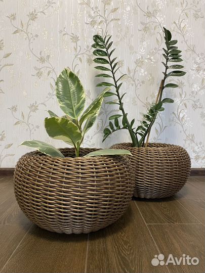 Кашпо из ротанга