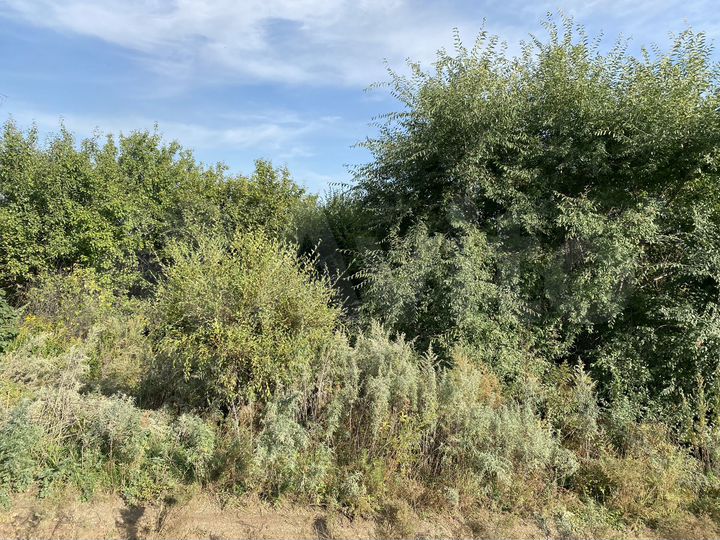 Участок 8 сот. (ИЖС)