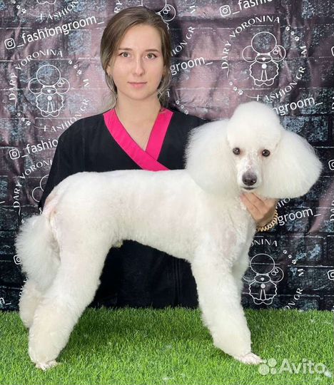 Грумер Груминг Стрижка собак кошек Стриппинг