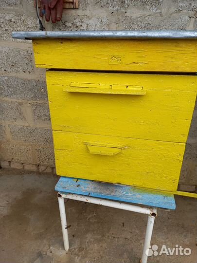 Ульи с пчелами