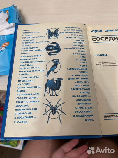 Соседи по планете