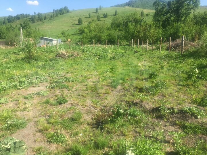 Дом 50 м² на участке 15 сот.