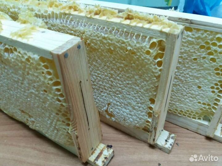 Помощь. Создам пасеку
